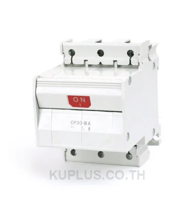 Curcuit Protector : CP30-BA 3P 21-I 2A