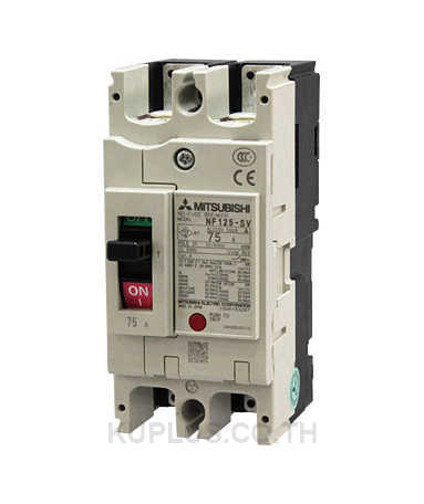 MCCB : NF125-SV 2P 100A 50kA