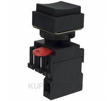 SWITCH PUSH SPST-NO 10A 110V