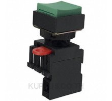 SWITCH PUSH SPST-NO 10A 110V