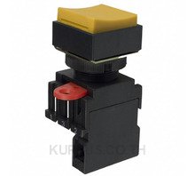 SWITCH PUSH SPST-NO 10A 110V