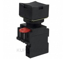 SWITCH PUSH SPST-NO 10A 110V