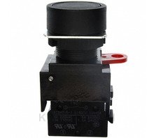 SWITCH PUSH SPST-NO 10A 110V