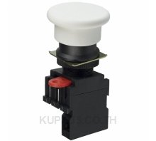 SWITCH PUSH SPST-NO 10A 110V