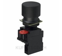 SWITCH PUSH SPST-NO 10A 110V