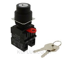 SWITCH KEYLCK 3POS DPST 10A 110V