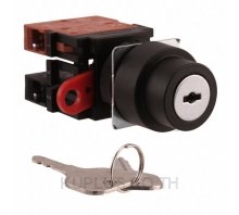 SWITCH KEYLCK 3POS DPST 10A 110V