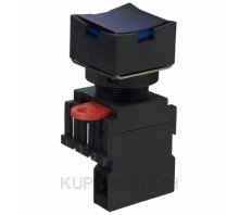 SWITCH PUSH SPST-NO 10A 110V