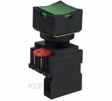 SWITCH PUSH SPST-NO 10A 110V