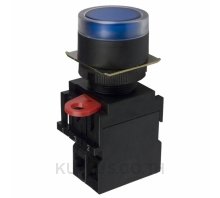 SWITCH PUSH SPST-NO 10A 110V