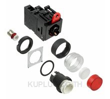 SWITCH PUSH SPST-NO 10A 110V
