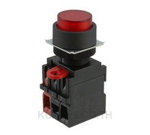 SWITCH PUSH DPST-NO 10A 110V