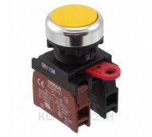 SWITCH PUSHBUTTON DPST 10A 120V