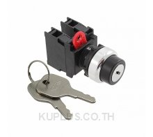 SWITCH KEYLCK 2POS DPST 10A 120V