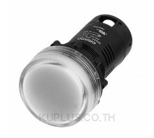 INDICATOR WHITE 120V