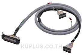 XW2Z-RO100C-75, 1 m Length Output Cable