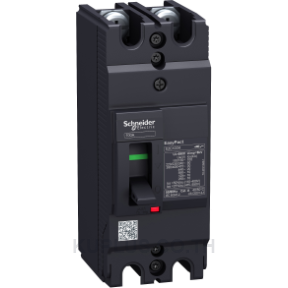 circuit breaker,EasyPact EZC100H ,TMD, 100A ,2 poles 2d